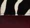Blake Crossbody Bag in Zebra Print Haircalf and Oxblood Leather swatch