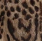 Comelle Coat in Leopard Print Lapin swatch